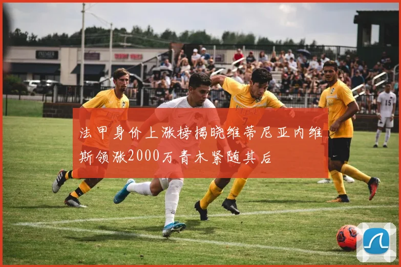 法甲身价上涨榜揭晓维蒂尼亚内维斯领涨2000万青木紧随其后