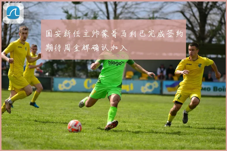 国安新任主帅蒙哥马利已完成签约期待周金辉确认加入