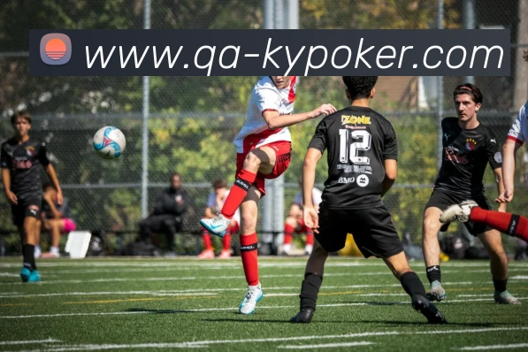 App Interface Preview