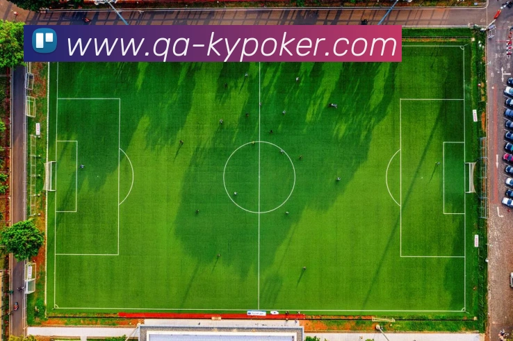 开云棋牌官网APP 封面图