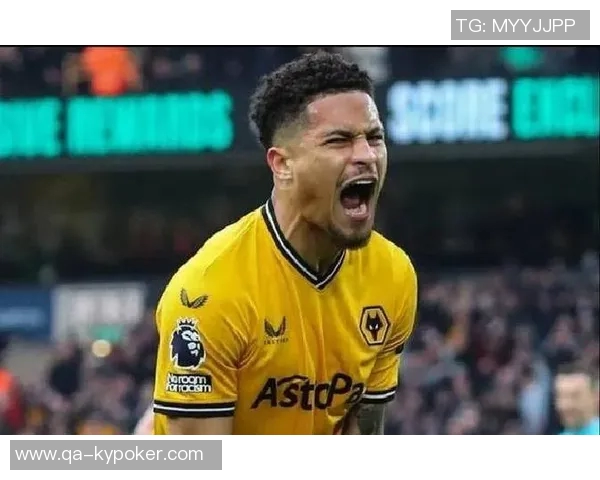 曼联中场急需替代者若昂内维斯或成最佳人选